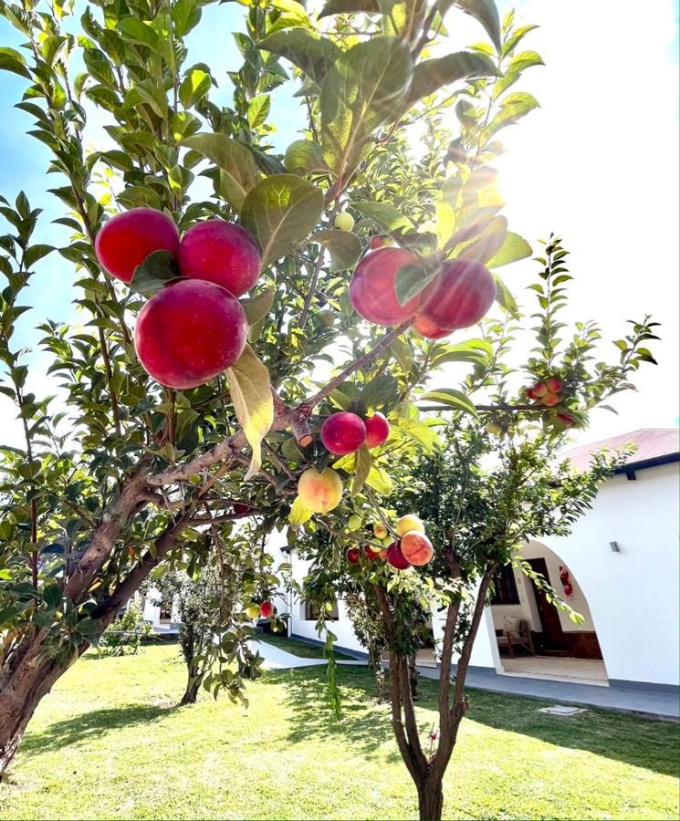 Bella Tilcara Boutique Hotel ภายนอก รูปภาพ